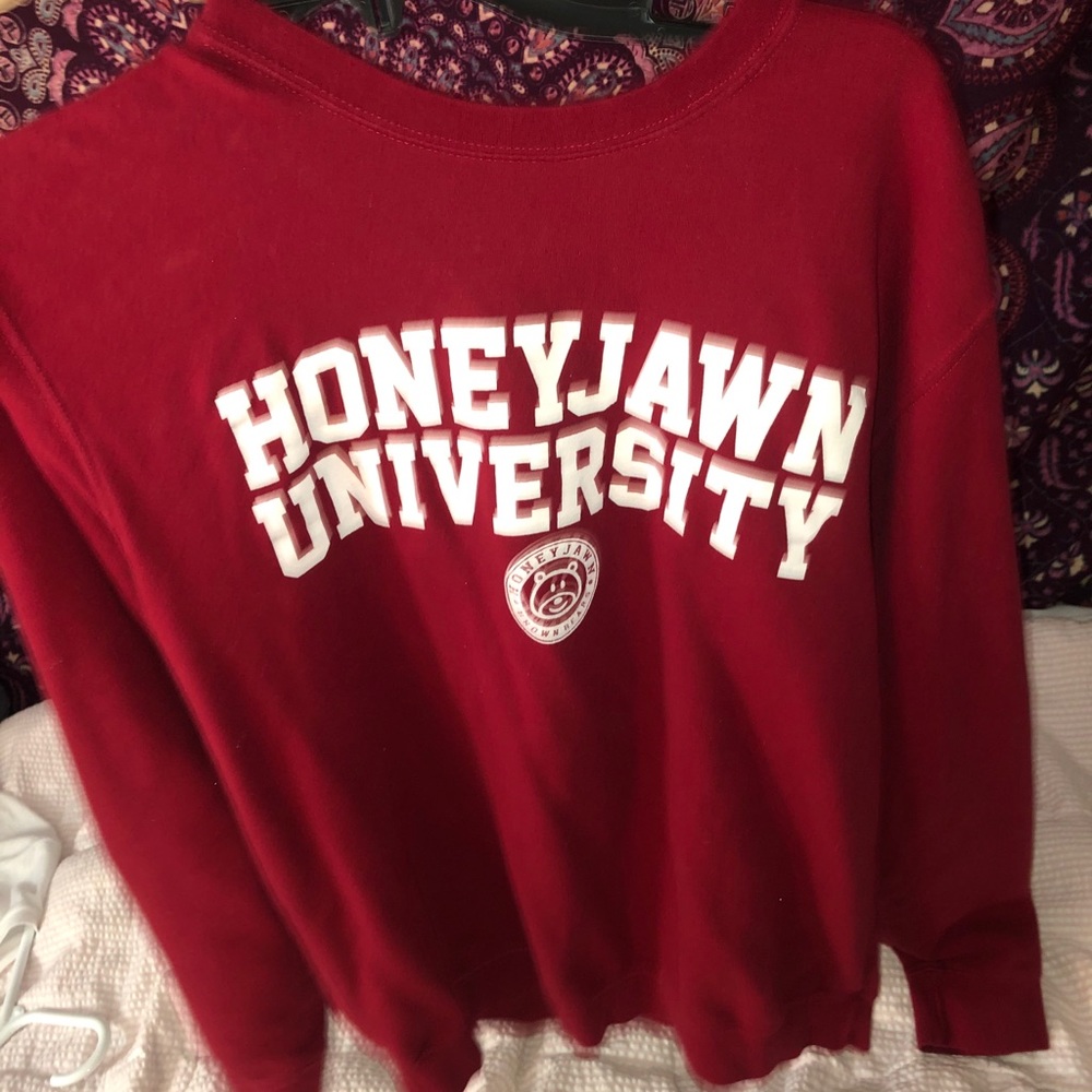 honeyjawn university pullover